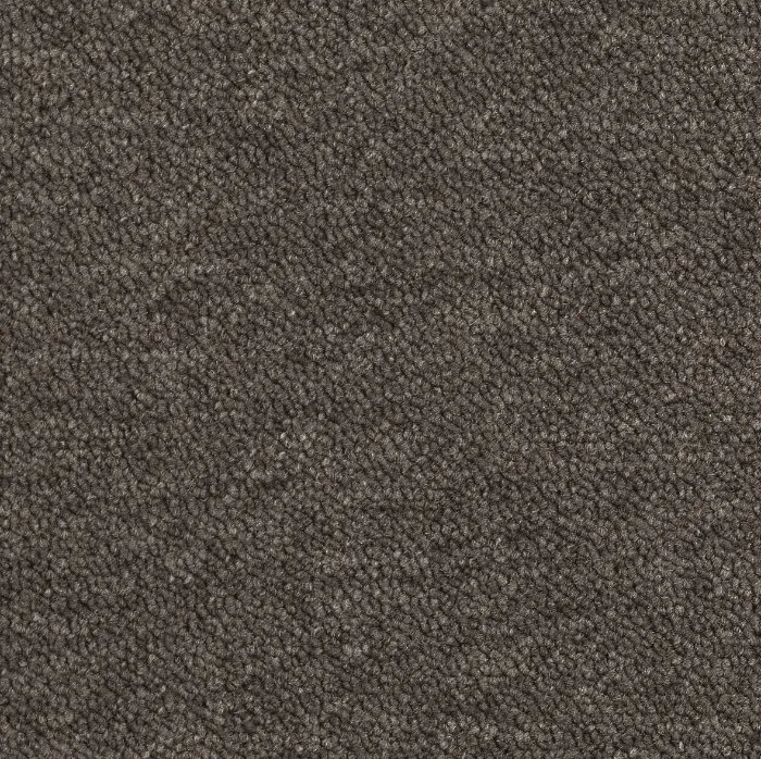 Desso Essence AA90 9092 płytki dywanowe