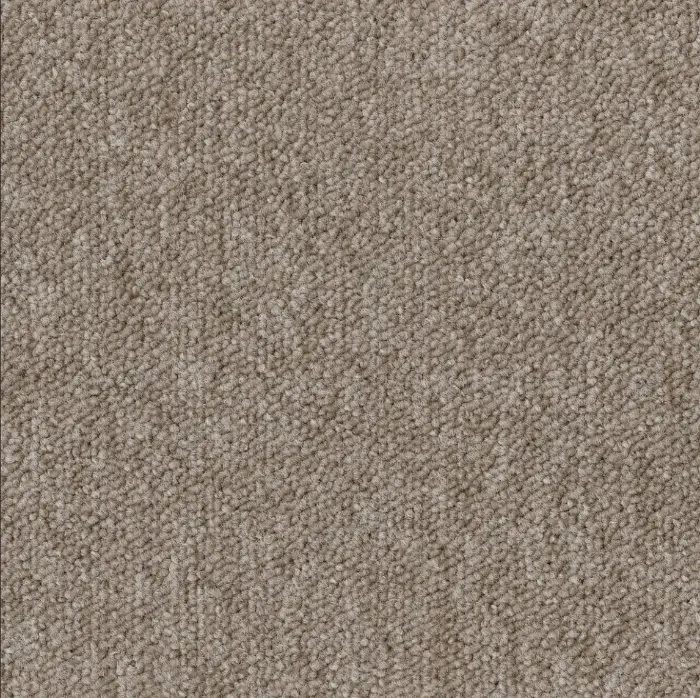 Desso Essence AA90 2923 płytki dywanowe