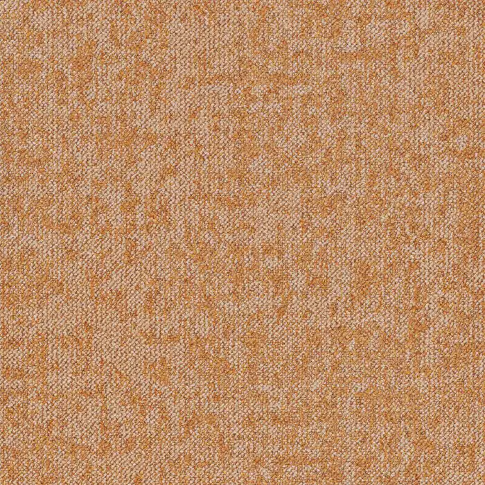 Desso Essence Roots AD08 5412 płytki dywanowe 50 x 50