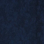 Desso Desert AC89 8521