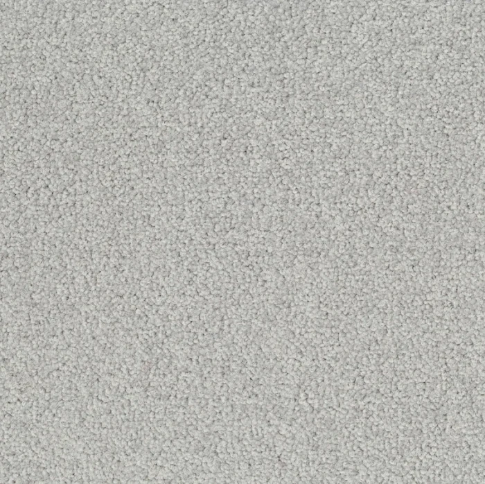 Desso Palatino B359 2502 płytki dywanowe 50 x 50