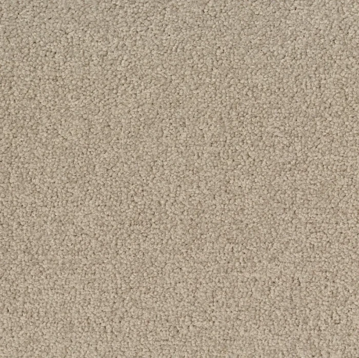 Desso Palatino B359 1321 płytki dywanowe 50 x 50