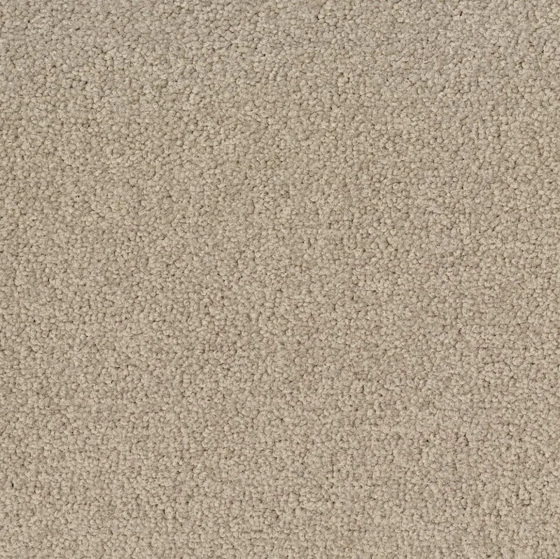 Desso Palatino B359 1321 płytki dywanowe 50 x 50