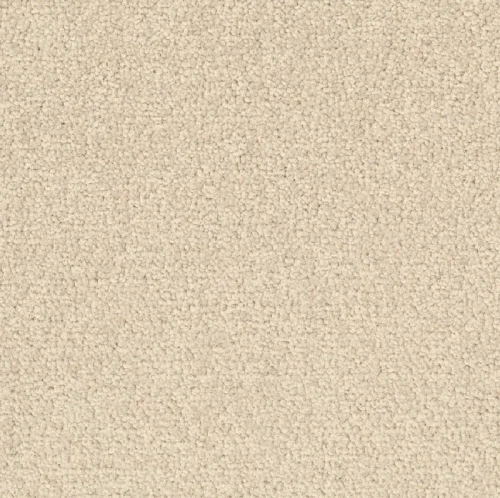 Desso Palatino B359 2928 płytki dywanowe 50 x 50