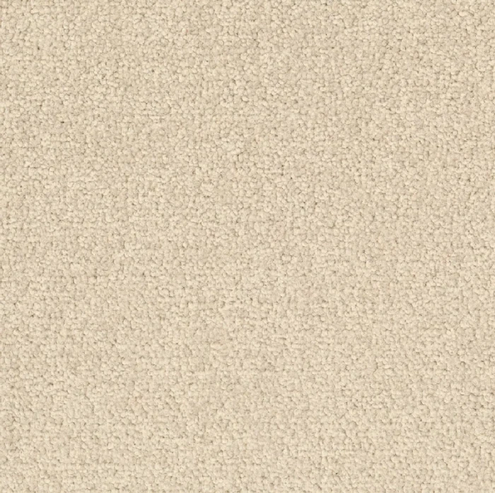 Desso Palatino B359 2928 płytki dywanowe 50 x 50