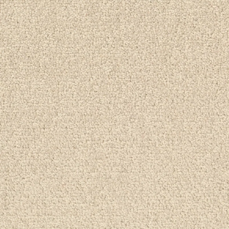Desso Palatino B359 2928 płytki dywanowe 50 x 50