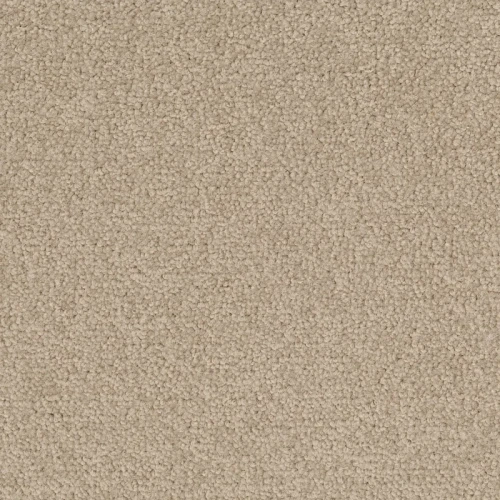 Desso Palatino A072 1510 płytki dywanowe 50 x 50