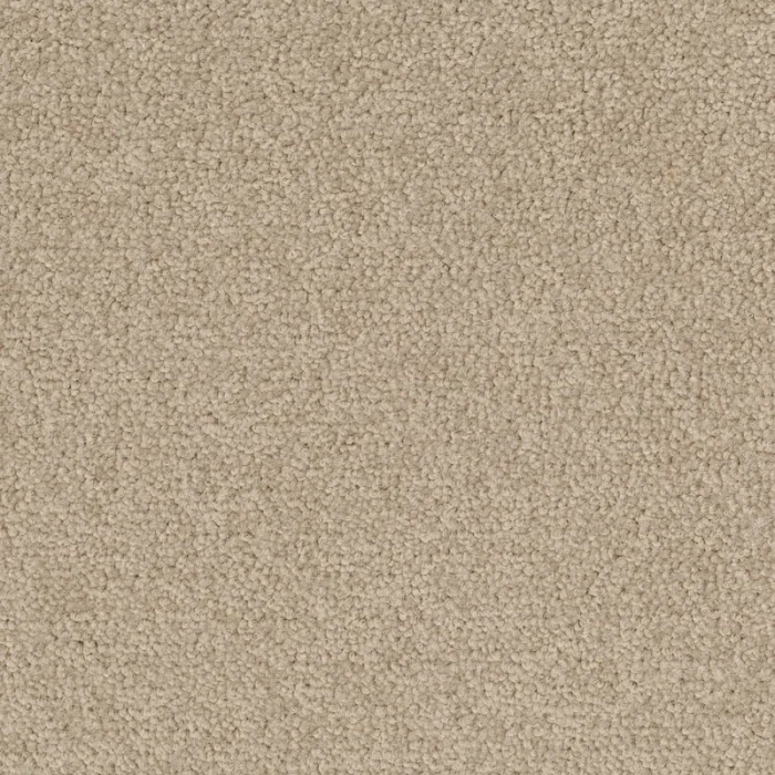 Desso Palatino A072 1510 płytki dywanowe 50 x 50