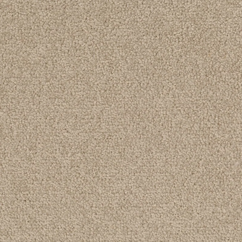 Desso Palatino A072 1510 płytki dywanowe 50 x 50