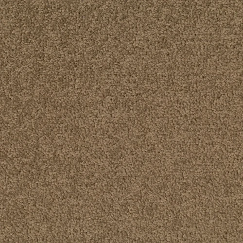 Desso Palatino A072 2929 płytki dywanowe 50 x 50