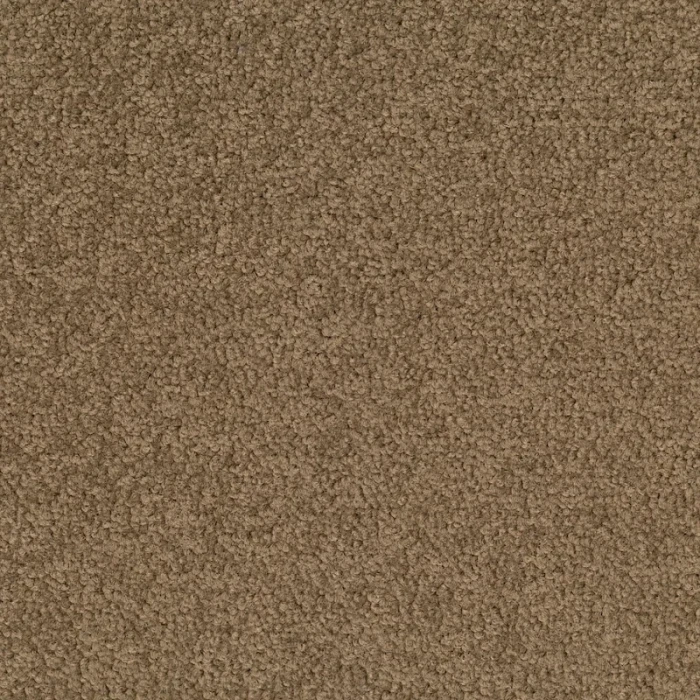 Desso Palatino A072 2929 płytki dywanowe 50 x 50