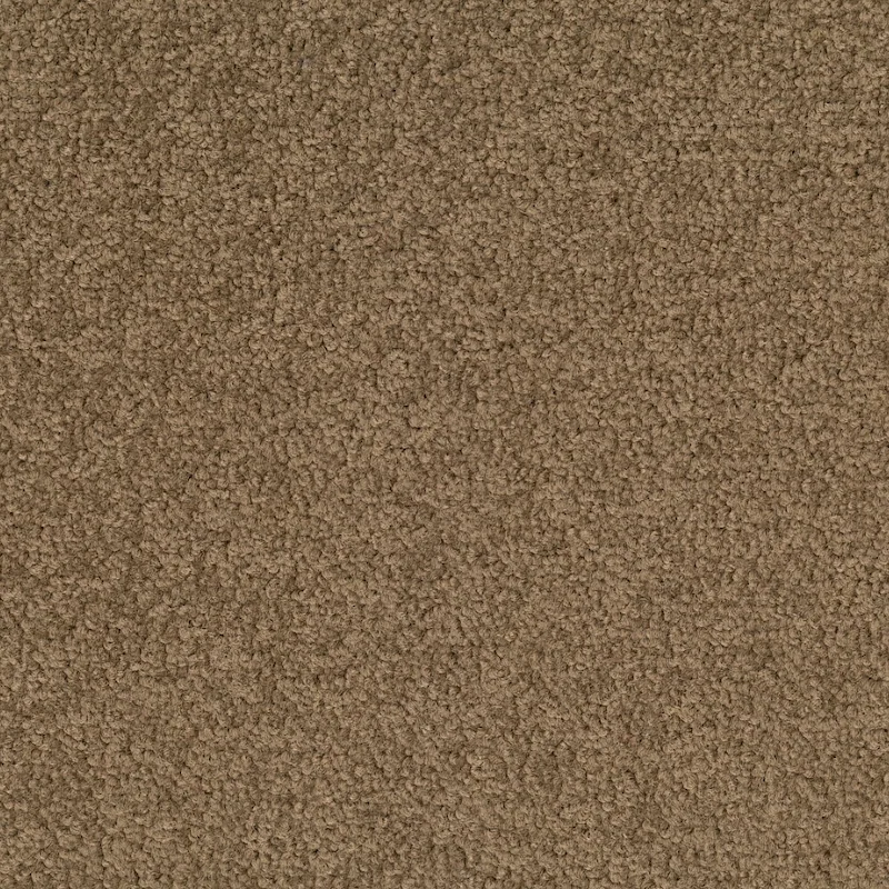 Desso Palatino A072 2929 płytki dywanowe 50 x 50