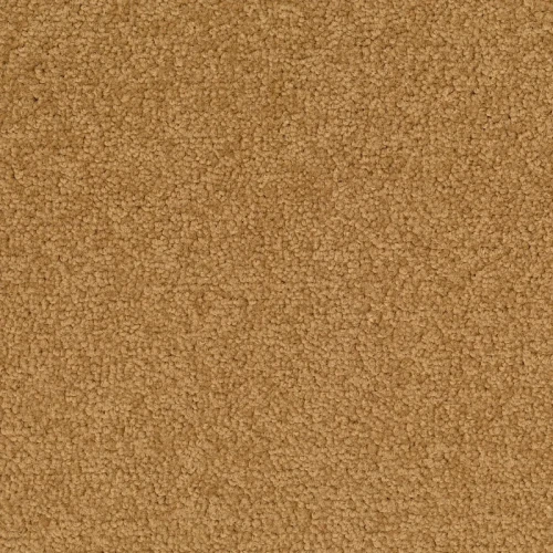 Desso Palatino A072 2036 płytki dywanowe 50 x 50