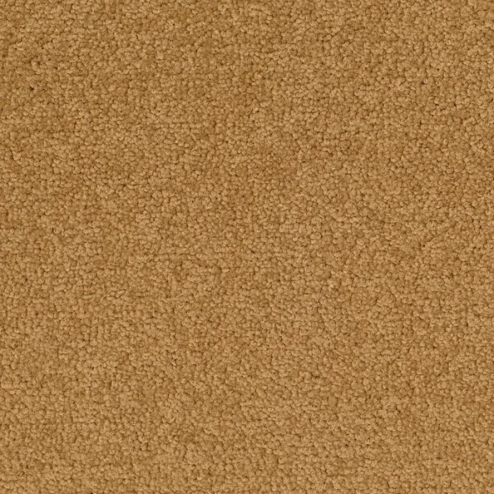 Desso Palatino A072 2036 płytki dywanowe 50 x 50