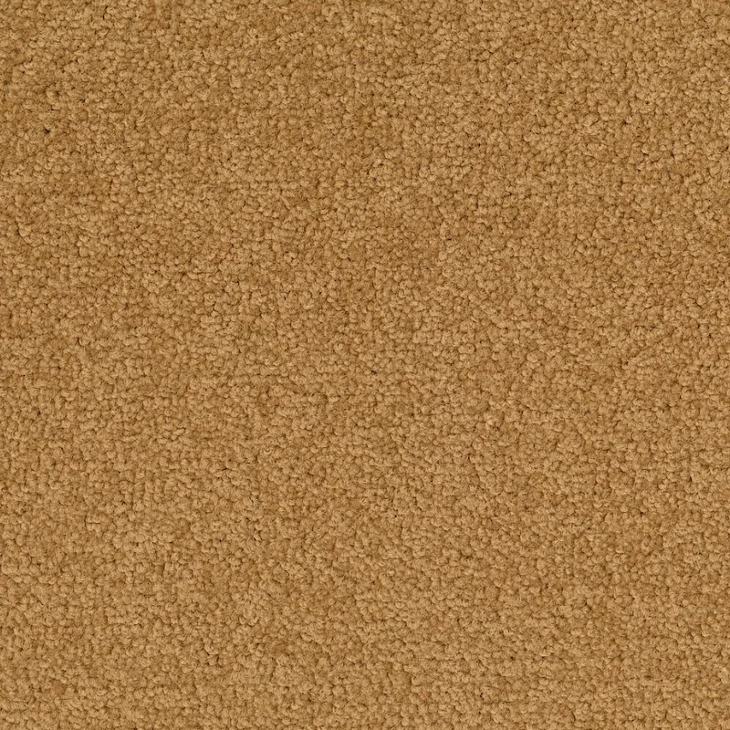 Desso Palatino A072 2036 płytki dywanowe 50 x 50