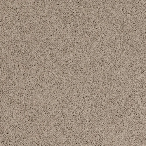 Desso Palatino A072 2923 płytki dywanowe 50 x 50