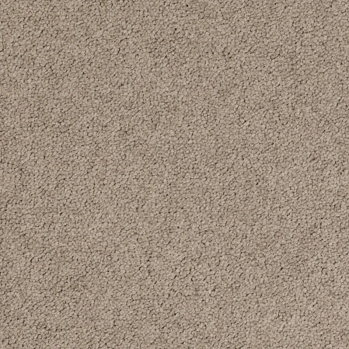 Desso Palatino A072 2923 płytki dywanowe 50 x 50