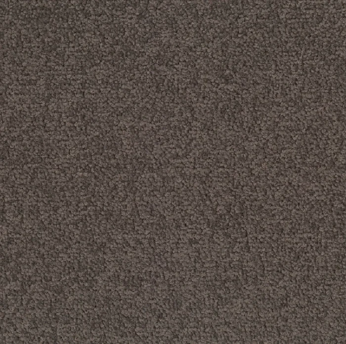 Desso Palatino A072 9104 płytki dywanowe 50 x 50