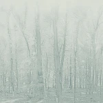 Tarkett Aquarelle Wall HFS Forestic Aqua Green 3942107