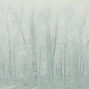 Tarkett Aquarelle Wall HFS Forestic Aqua Green 3942107