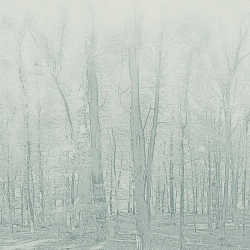 Wykładzina ścienna Tarkett Aquarelle Wall HFS Forestic Aqua Green 3942107