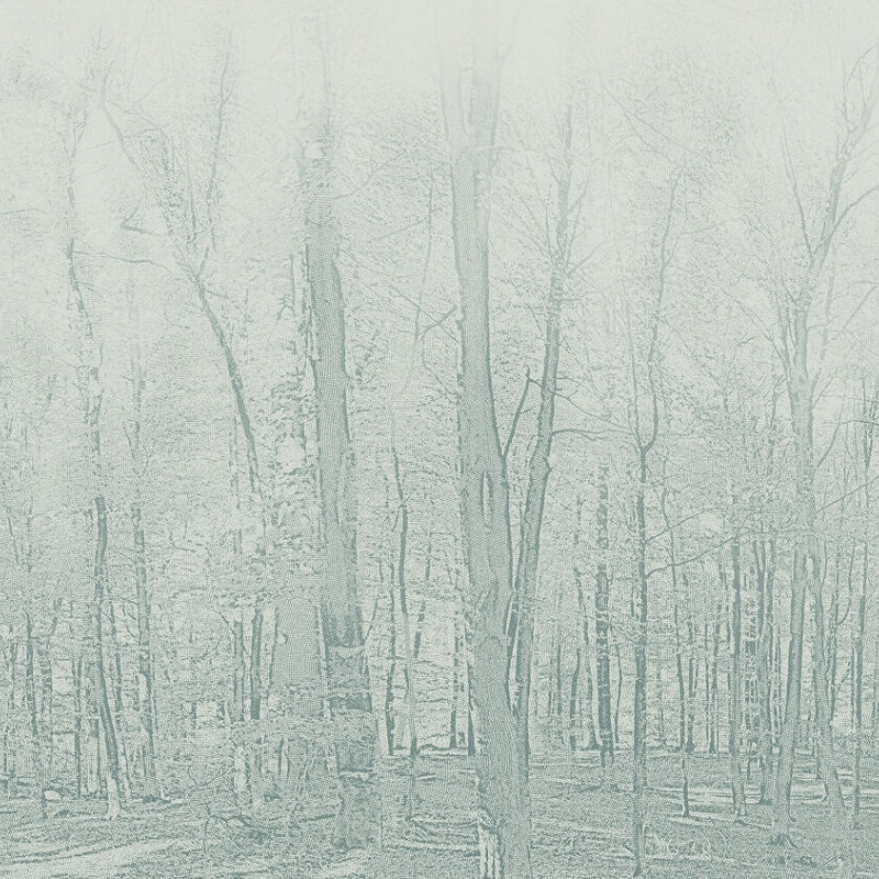 Wykładzina ścienna Tarkett Aquarelle Wall HFS Forestic Aqua Green 3942107