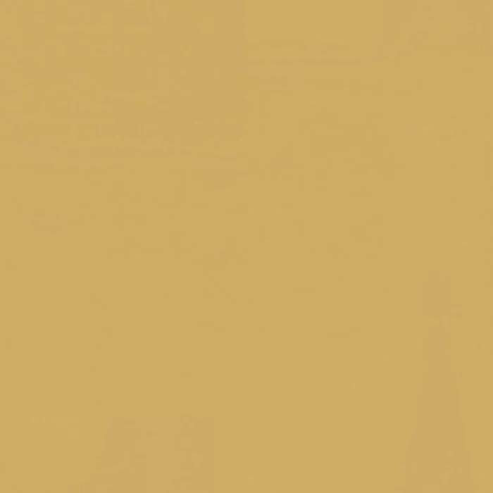Tarkett LinoWall xf² 2 mm Honey 14110112 linoleum na ścianę