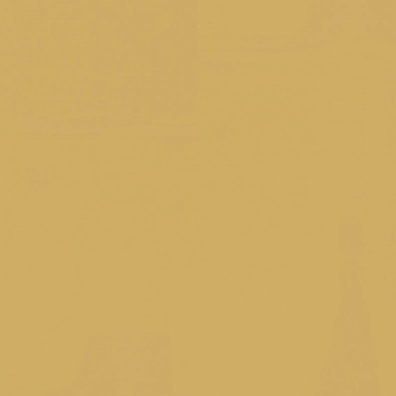 Tarkett LinoWall xf² 2 mm Honey 14110112 linoleum na ścianę
