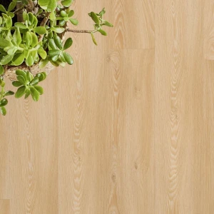Tarkett Essence Glue-Down Cool Oak Classical 260053001 panele winylowe